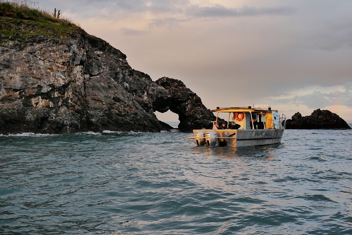 Kachemak Bay Wildlife Tour - thumb 0