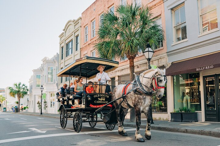 Charlestonâ€™s Old South Carriage Historic Horse & Carriage Tour - thumb 0