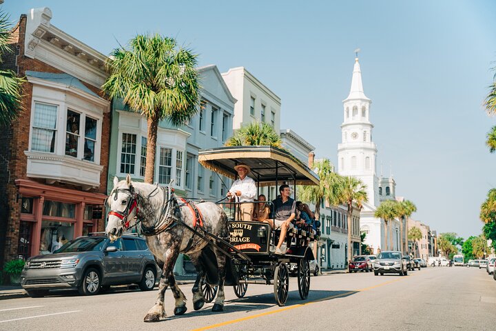 Charlestonâ€™s Old South Carriage Historic Horse & Carriage Tour - thumb 1