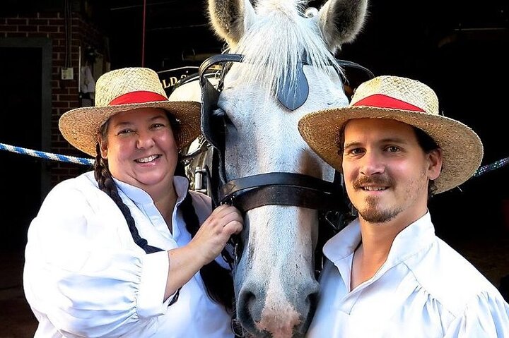 Charlestonâ€™s Old South Carriage Historic Horse & Carriage Tour - thumb 2