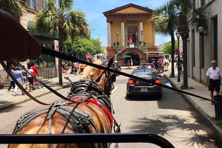 Charlestonâ€™s Old South Carriage Historic Horse & Carriage Tour - thumb 3